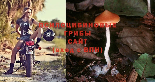 мяу мяу мука Абинск