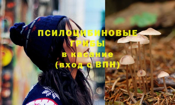 мяу мяу мука Абинск